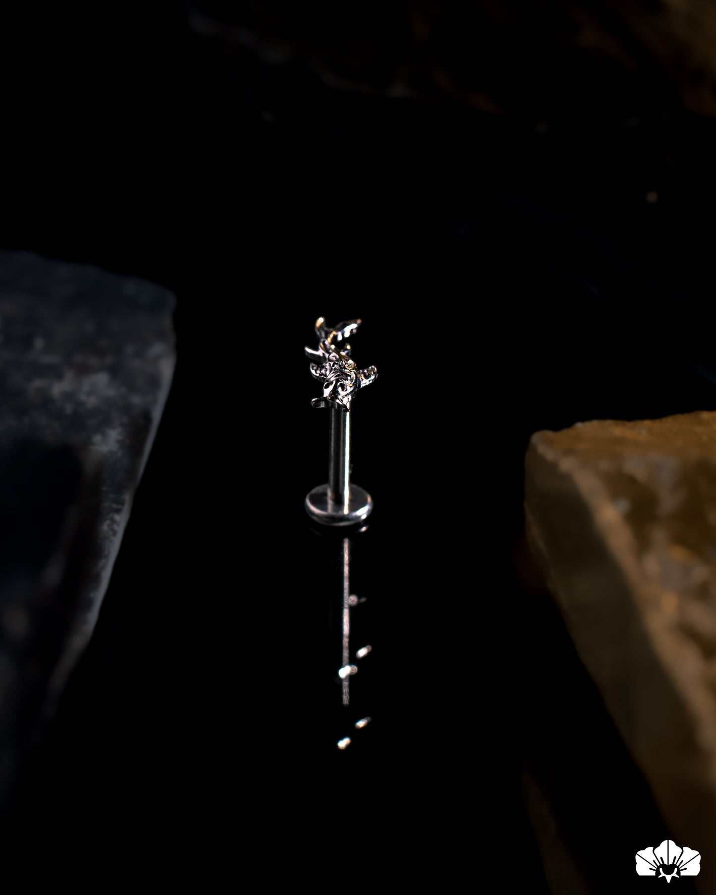 LABRET TITANIO TOP PEZ KOI