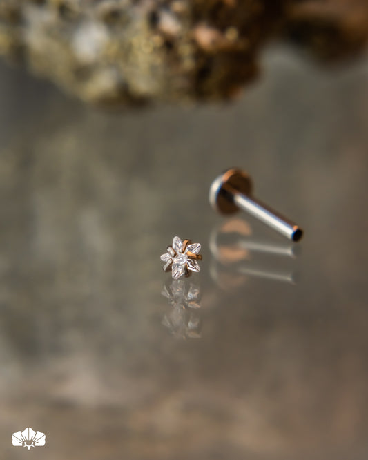 LABRET TITANIO ESTRELLA SWAROVSKI BLANCO DE 3MM