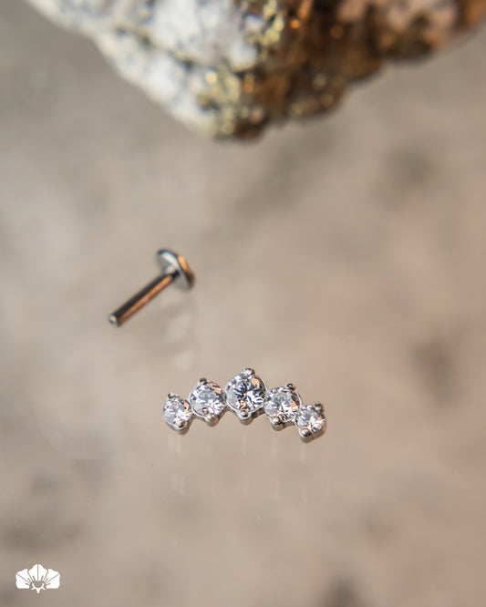 CLÚSTER TITANIO SWAROVSKI ENGASTE PRONG SET